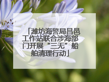 潍坊海警局昌邑工作站联合涉海部门开展“三无”船舶清理行动