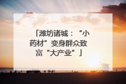 潍坊诸城：“小药材”变身群众致富“大产业”