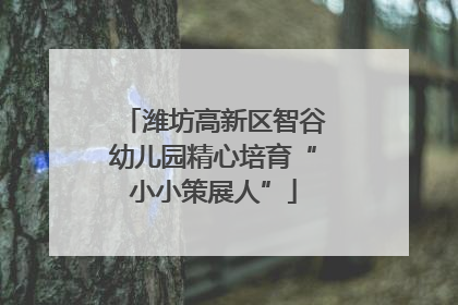 潍坊高新区智谷幼儿园精心培育“小小策展人”