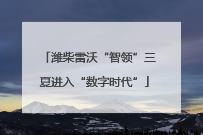 潍柴雷沃“智领”三夏进入“数字时代”