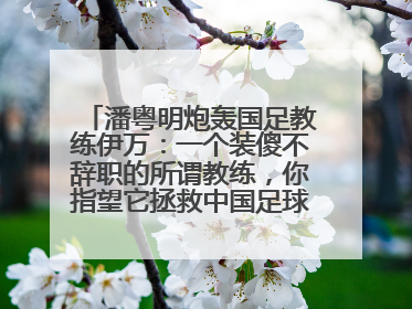 潘粤明炮轰国足教练伊万：一个装傻不辞职的所谓教练，你指望它拯救中国足球！此前曾多次发文评价国足