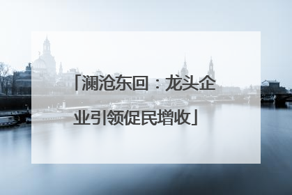 澜沧东回：龙头企业引领促民增收