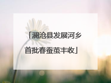 澜沧县发展河乡首批春蚕茧丰收