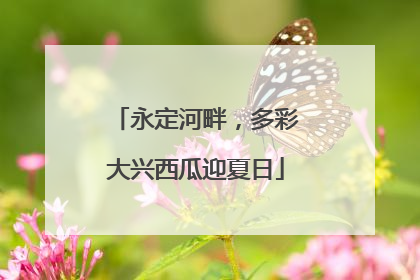 永定河畔，多彩大兴西瓜迎夏日