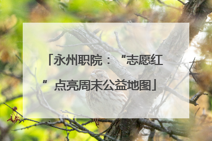 永州职院：“志愿红”点亮周末公益地图
