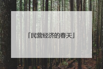 民营经济的春天