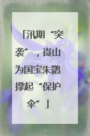 汛期“突袭”，崀山为国宝朱鹮撑起“保护伞”