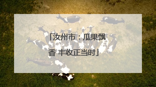 汝州市：瓜果飘香 丰收正当时