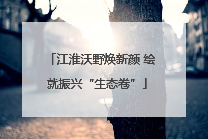 江淮沃野焕新颜 绘就振兴“生态卷”