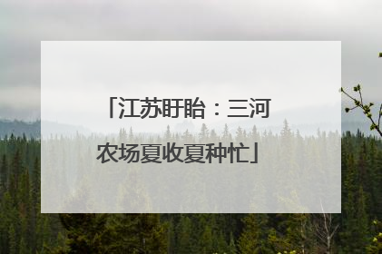 江苏盱眙：三河农场夏收夏种忙
