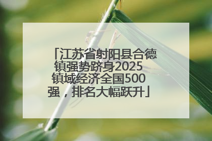 江苏省射阳县合德镇强势跻身2025镇域经济全国500强，排名大幅跃升