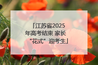 江苏省2025年高考结束 家长“花式”迎考生