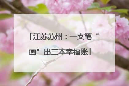 江苏苏州：一支笔“画”出三本幸福账