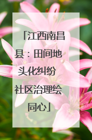 江西南昌县：田间地头化纠纷 社区治理绘同心