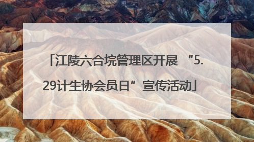 江陵六合垸管理区开展 “5.29计生协会员日”宣传活动