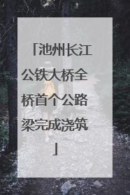 池州长江公铁大桥全桥首个公路梁完成浇筑