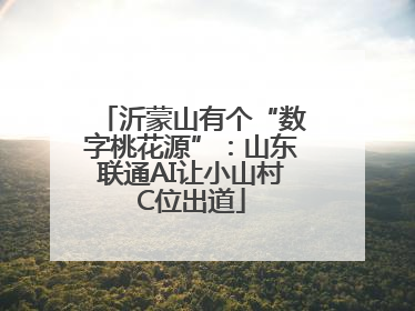 沂蒙山有个“数字桃花源”：山东联通AI让小山村C位出道