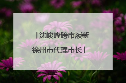 沈峻峰跨市履新徐州市代理市长