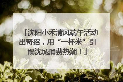 沈阳小禾清风端午活动出奇招，用“一杯米”引爆沈城消费热潮！