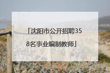 沈阳市公开招聘358名事业编制教师