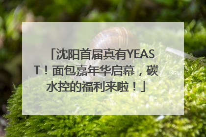 沈阳首届真有YEAST！面包嘉年华启幕，碳水控的福利来啦！