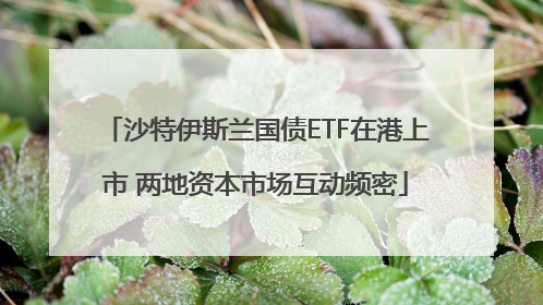 沙特伊斯兰国债ETF在港上市 两地资本市场互动频密