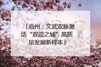 沧州：文武双脉激活“双遗之城”高质量发展新样本