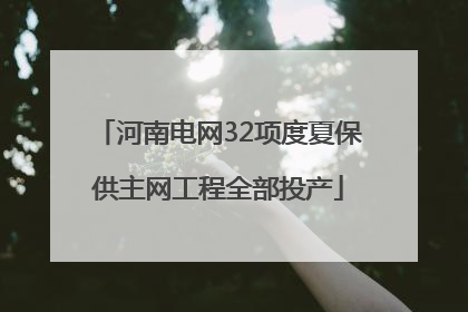 河南电网32项度夏保供主网工程全部投产