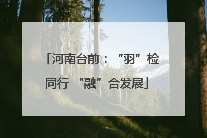 河南台前：“羽”检同行 “融”合发展