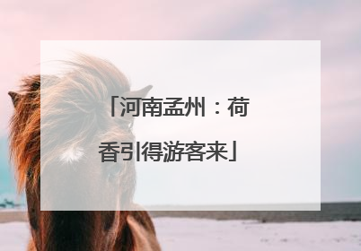 河南孟州：荷香引得游客来