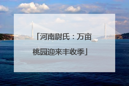 河南尉氏：万亩桃园迎来丰收季