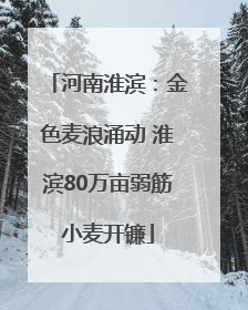 河南淮滨：金色麦浪涌动 淮滨80万亩弱筋小麦开镰