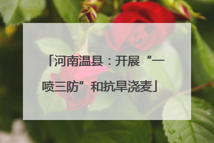 河南温县：开展“一喷三防”和抗旱浇麦