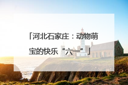 河北石家庄：动物萌宝的快乐“六一”