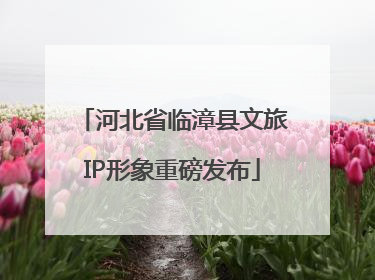 河北省临漳县文旅IP形象重磅发布