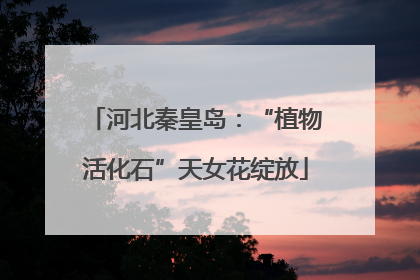河北秦皇岛：“植物活化石”天女花绽放