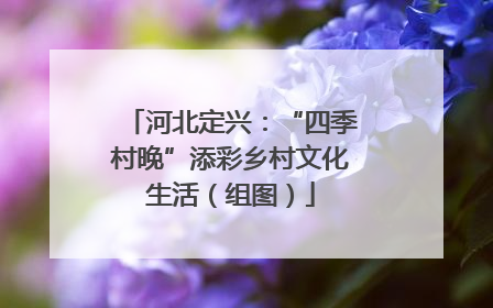 河北定兴：“四季村晚”添彩乡村文化生活（组图）