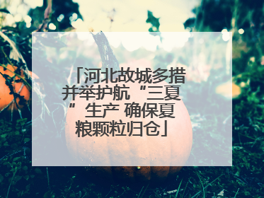 河北故城多措并举护航“三夏”生产 确保夏粮颗粒归仓