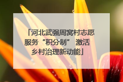 河北武强周窝村志愿服务“积分制” 激活乡村治理新动能