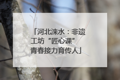 河北涞水：非遗工坊“匠心课” 青春接力育传人