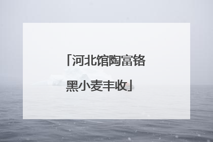河北馆陶富铬黑小麦丰收