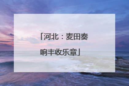 河北：麦田奏响丰收乐章