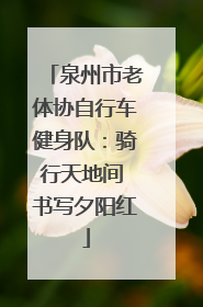 泉州市老体协自行车健身队：骑行天地间 书写夕阳红