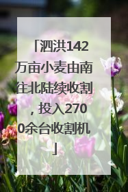 泗洪142万亩小麦由南往北陆续收割，投入2700余台收割机