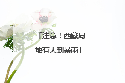 注意！西藏局地有大到暴雨