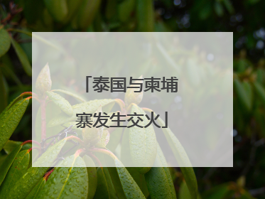泰国与柬埔寨发生交火