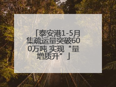 泰安港1-5月集疏运量突破600万吨 实现“量增质升”