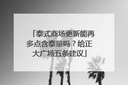 泰式商场更新能再多点含泰量吗？给正大广场五条建议