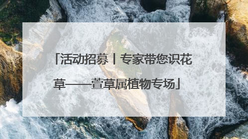 活动招募丨专家带您识花草——萱草属植物专场