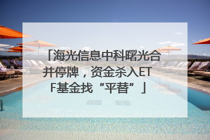 海光信息中科曙光合并停牌，资金杀入ETF基金找“平替”